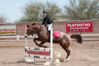 Concurso de salto Las Brisas