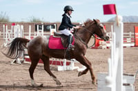 Concurso de salto Las Brisas