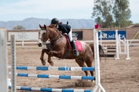 Concurso de salto Las Brisas