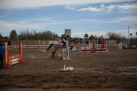 Concurso de salto Las Brisas