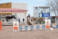 Concurso de salto Las Brisas