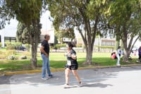Maratón LALA 2020, Paseo Central