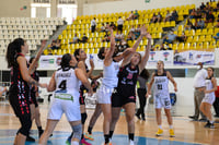 Algodoneras vs Mieleras