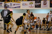 Algodoneras vs Mieleras