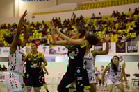 Algodoneras vs Mieleras