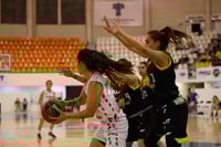 Algodoneras vs Mieleras