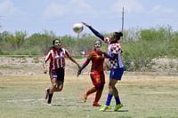Hormiguero FC vs La Partida FC final