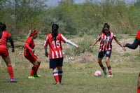 Hormiguero FC vs La Partida FC final