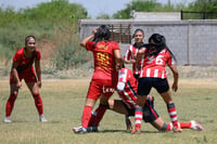 Hormiguero FC vs La Partida FC final