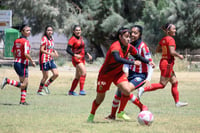 Hormiguero FC vs La Partida FC final