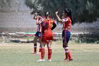 Hormiguero FC vs La Partida FC final