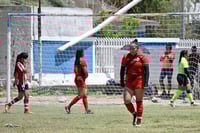 Hormiguero FC vs La Partida FC final