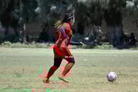 Hormiguero FC vs La Partida FC final