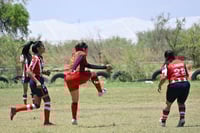 Hormiguero FC vs La Partida FC final