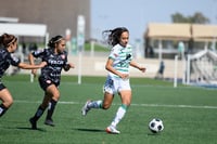 Santos vs Necaxa J8 A2021 Liga MX