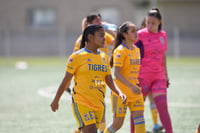 Santos vs Tigres J16 C2022 Liga MX