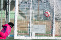 Del gol de Paulina, Paulina Peña