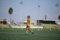 Santos Laguna vs Tigres femenil sub 18 J8