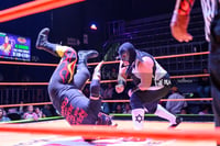 Lucha Libre Torreón