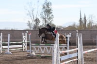 Salto ecuestre Las Brisas