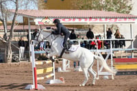 Salto ecuestre Las Brisas