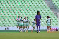 Santos vs Rayadas del Monterrey