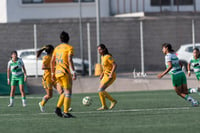 Santos vs Tigres J13 C2023 Liga MX