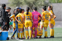 Santos vs Tigres J13 C2023 Liga MX
