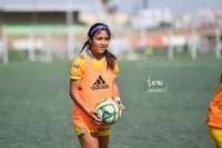 Santos vs Tigres J13 C2023 Liga MX