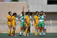 Santos vs Tigres J13 C2023 Liga MX