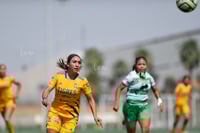 Ángeles Sánchez