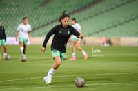 Santos vs Tigres femenil