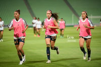 Santos vs Tigres femenil