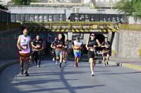 10K Peñoles 2024