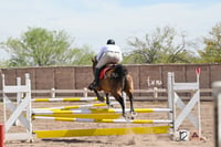 Concurso ecuestre  Las Brisas