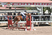 Concurso ecuestre  Las Brisas