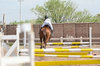 Concurso ecuestre  Las Brisas