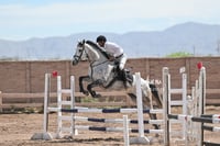 Concurso ecuestre  Las Brisas