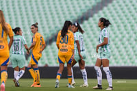 Santos vs Tigres femenil