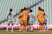 Santos vs Tigres femenil