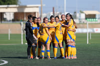 Santos vs Tigres femenil sub 19