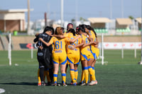 Santos vs Tigres femenil sub 19