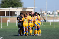 Santos vs Tigres femenil sub 19