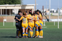 Santos vs Tigres femenil sub 19