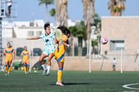 Santos vs Tigres femenil sub 19