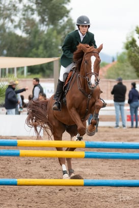 Segunda copa ecuestre Las Brisas @tar.mx