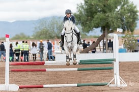 Segunda copa ecuestre Las Brisas @tar.mx