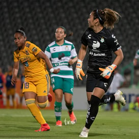 Santos vs Tigres jornada 3 apertura 2019 Liga MX femenil @tar.mx