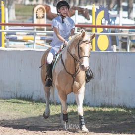 Segundo concurso de salto ecuestre La Barranca @tar.mx