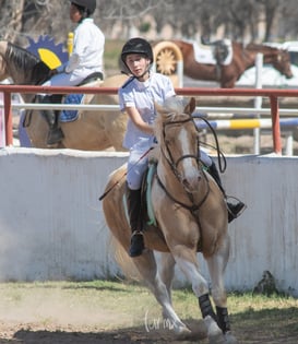 Segundo concurso de salto ecuestre La Barranca @tar.mx